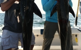  Pensacola Fishing Charters   Photos