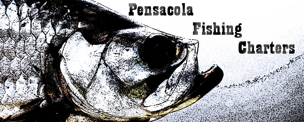 Pensacola Fishing Charter